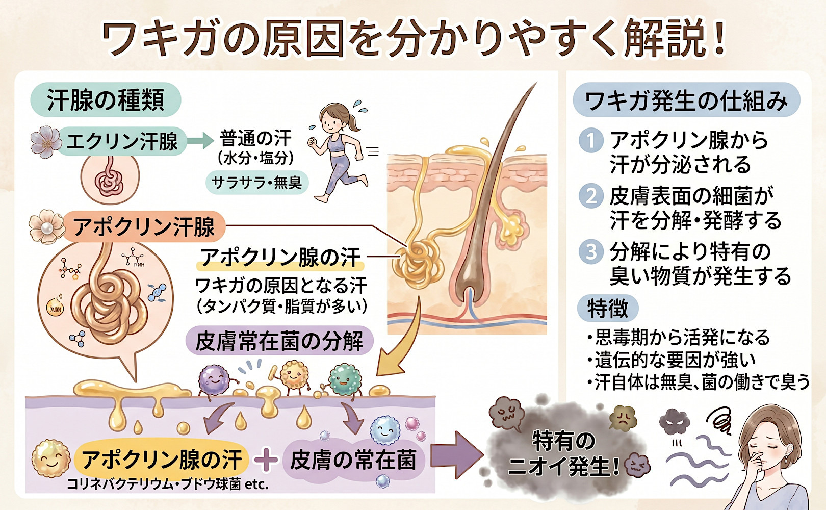 「汗っかき」と「ワキガ」はどう違う?